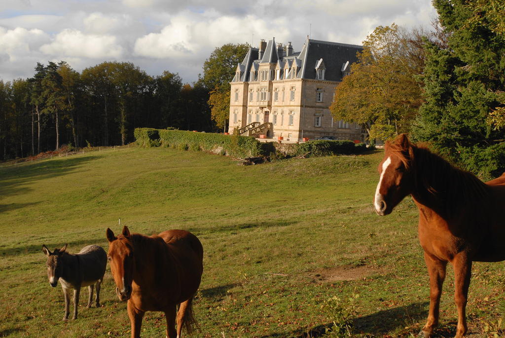 Chateau Des Faugs Boffres